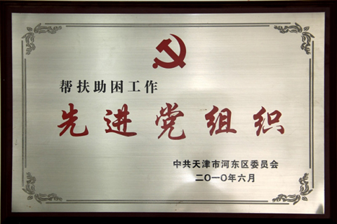 2010先进党组织